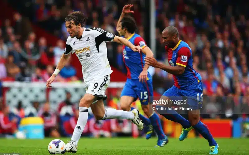 Michu có mùa giải để đời ở Swansea.